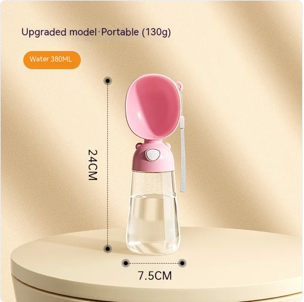 Portable Water Bottle